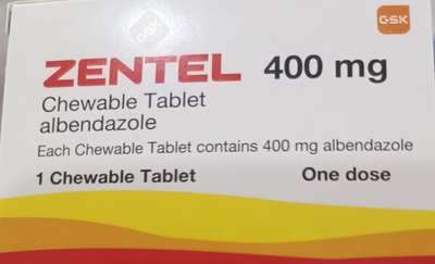Zentel albendazole 400mg dewormer GSK